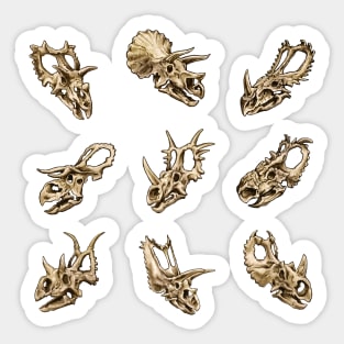 Dinosaur Skull Sticker Set Ceratopsia Sticker